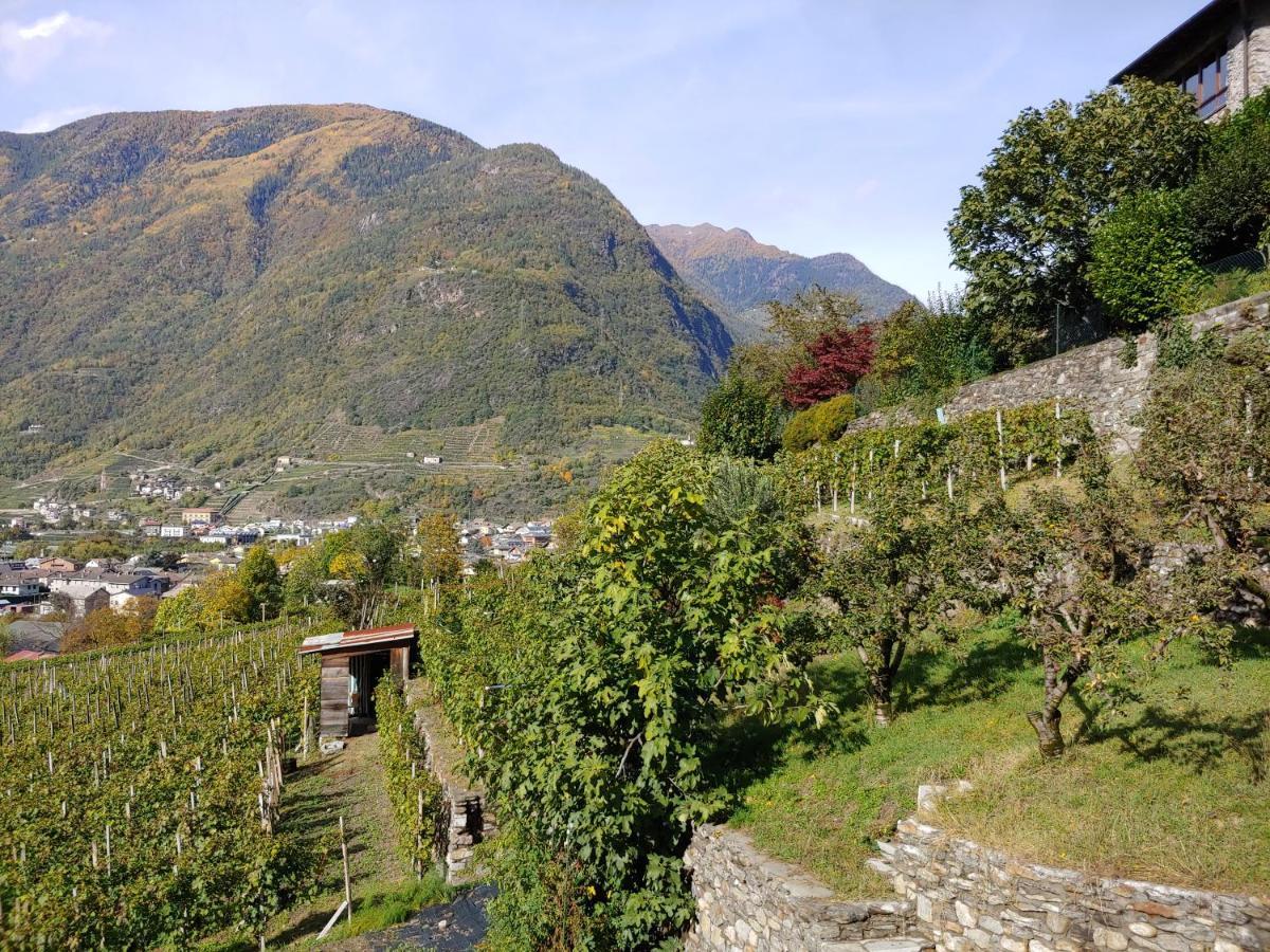 Pisolo Selvaggio Apartment Tirano Exterior photo